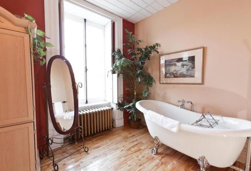 Fotos del hotel Manoir Sur Le Cap:  9