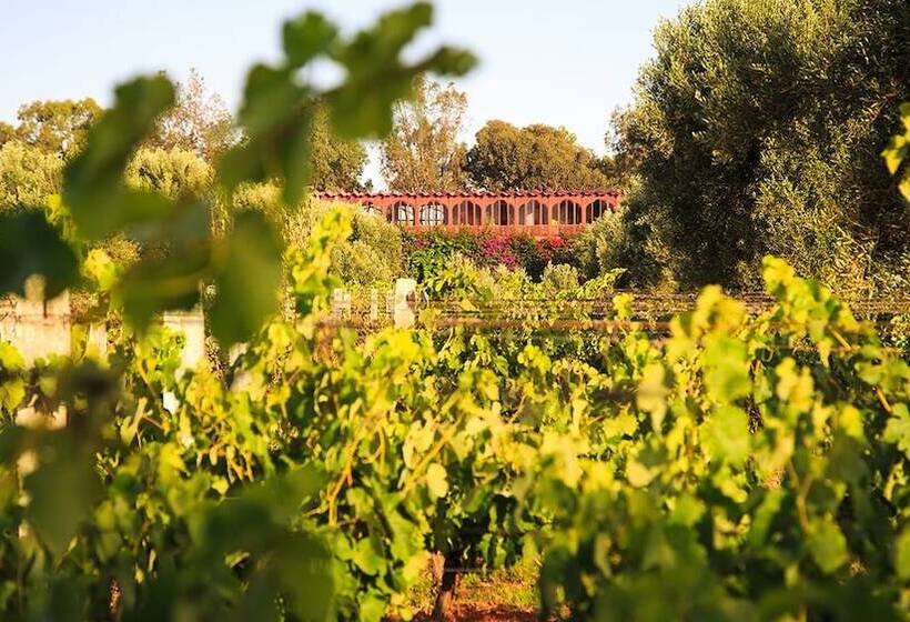 Fotos del hotel Ryad Des Vignes:  18