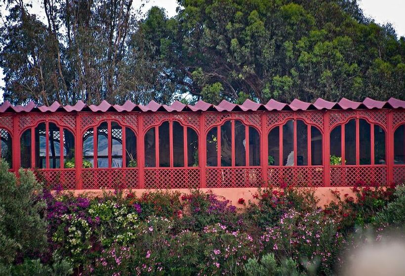 Fotos del hotel Ryad Des Vignes:  14