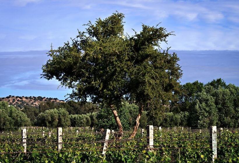 Fotos del hotel Ryad Des Vignes:  6