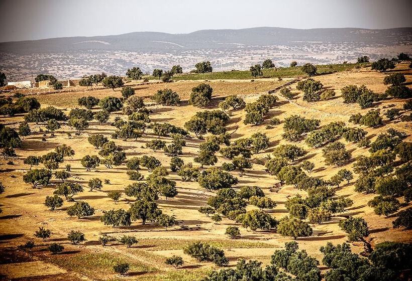 Fotos del hotel Ryad Des Vignes:  16