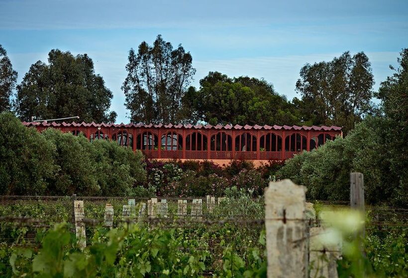 Fotos del hotel Ryad Des Vignes:  20