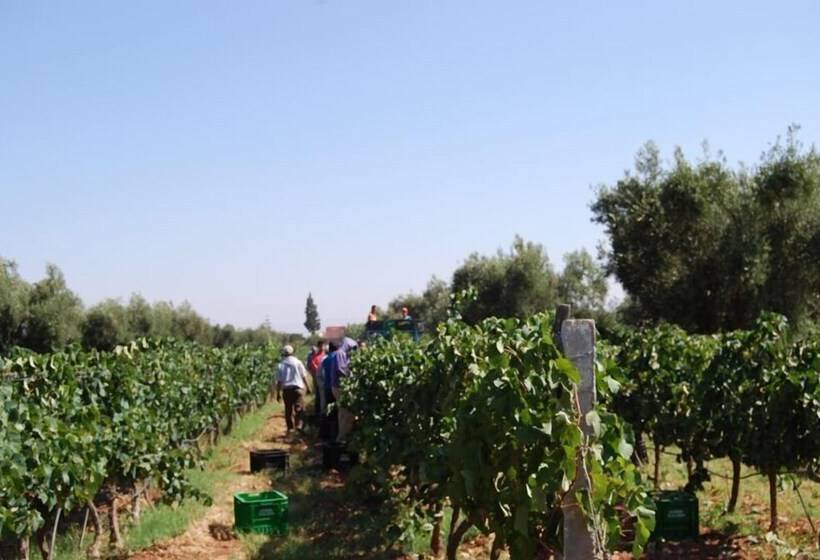 Fotos del hotel Ryad Des Vignes:  10