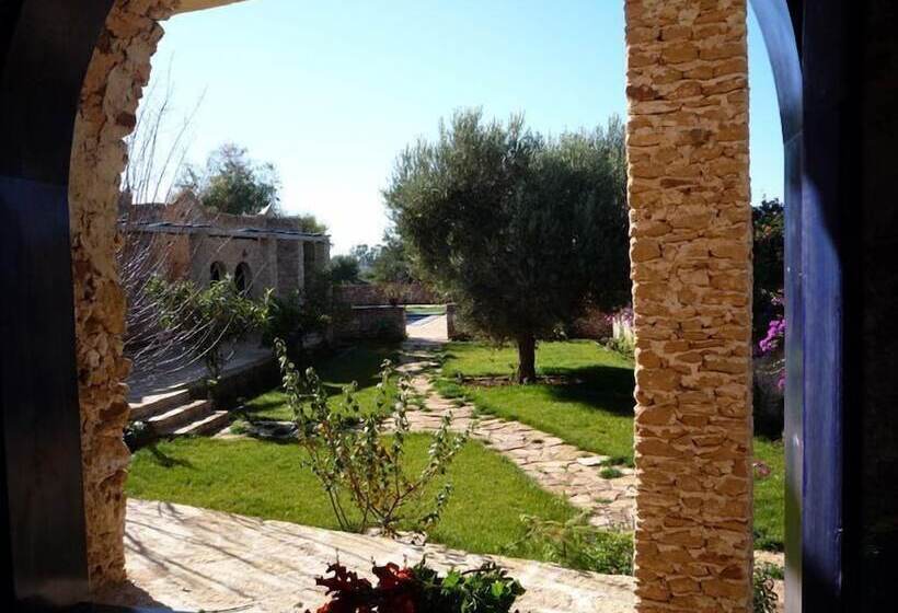 Fotos del hotel Ryad Des Vignes:  11