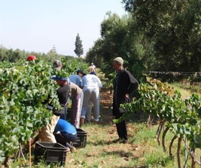 Fotos del hotel Ryad Des Vignes:  23