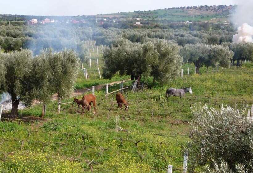 Fotos del hotel Ryad Des Vignes:  4