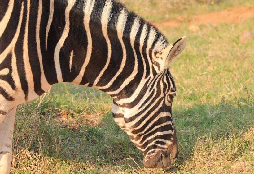 Fotos del hotel Elephants Footprint Lodge:  10