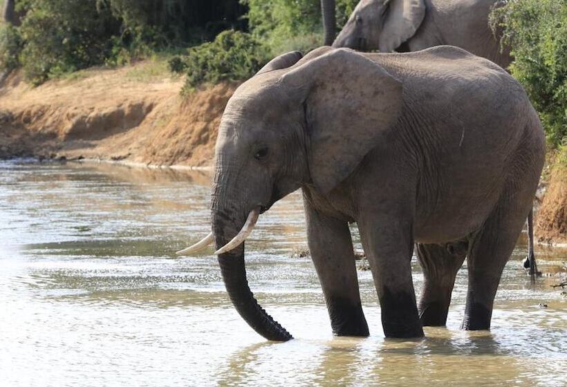 Fotos del hotel Elephants Footprint Lodge:  6