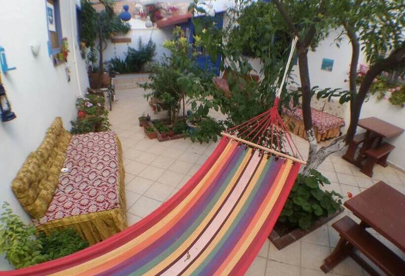 Fotos del hotel Kale:  3