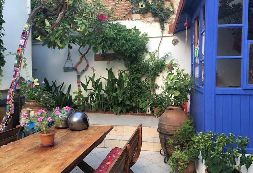 Fotos del hotel Kale:  12