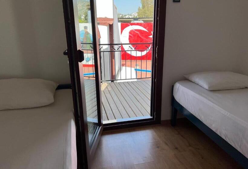 Fotos del hotel Kale:  6