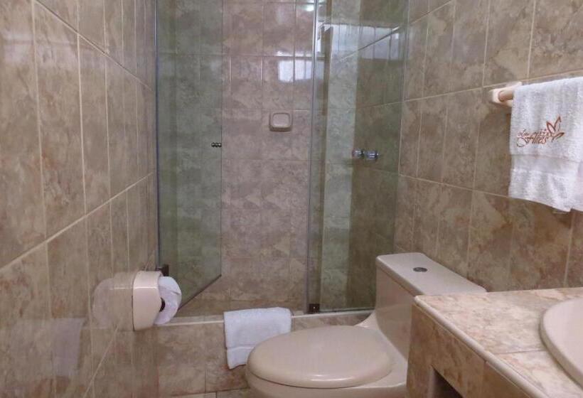 Fotos del hotel Las Flores:  7