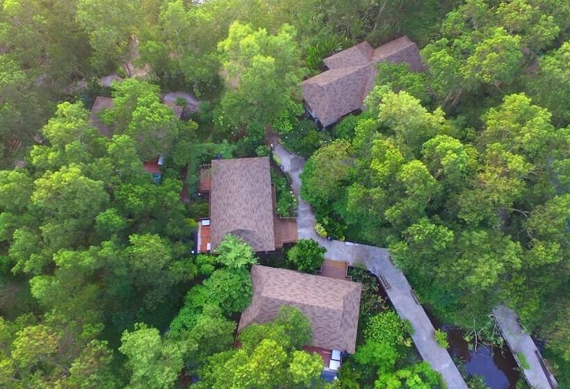 Fotos del hotel The Touch Green, Naiyang:  18