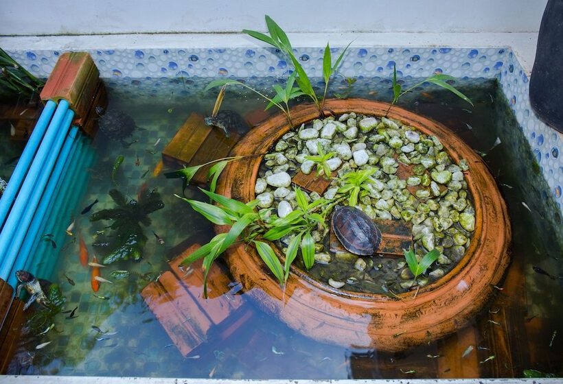 Fotos del hotel Villa Silk Road Hotel:  5