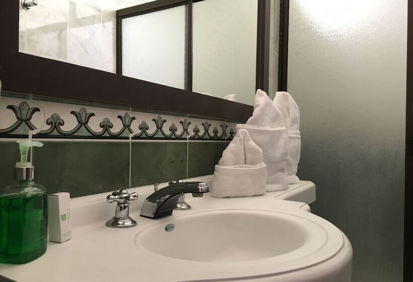 Fotos del hotel Regine S Manizales:  11