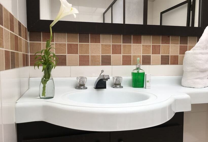 Fotos del hotel Regine S Manizales:  16