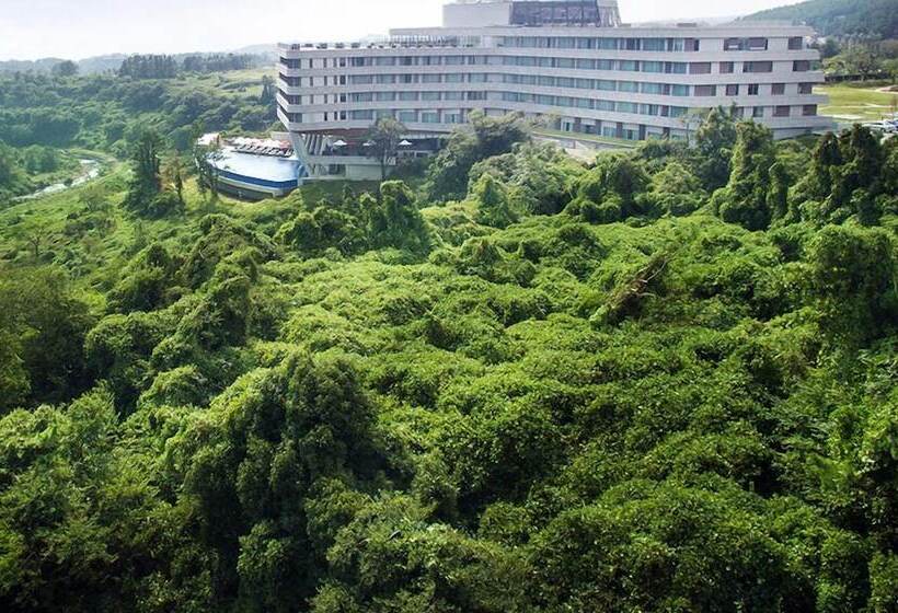 Fotos del hotel Hidden Cliff  And Nature:  6