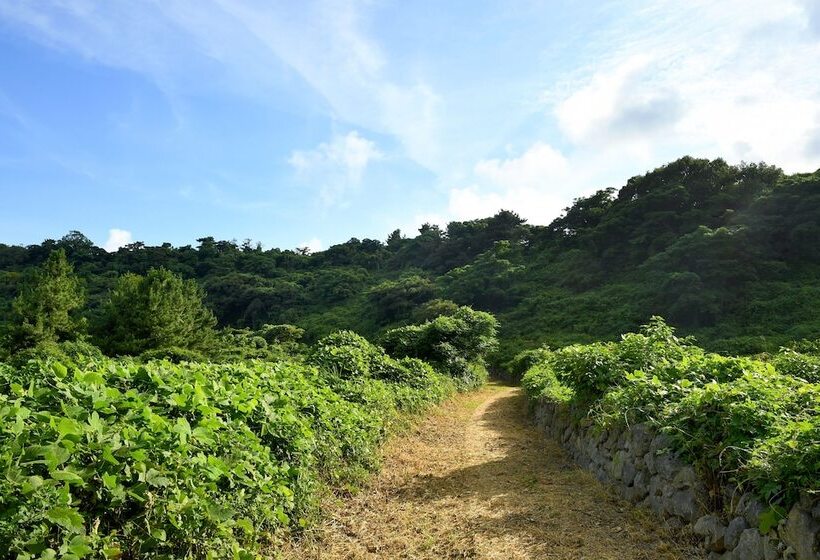 Fotos del hotel Hidden Cliff  And Nature:  14