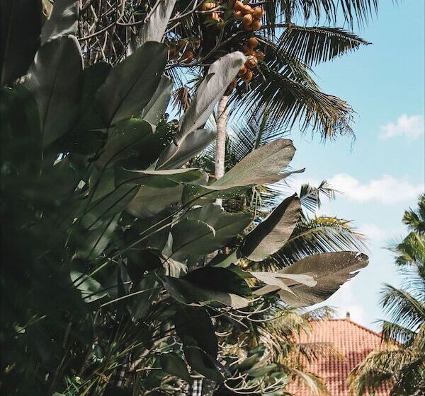 Fotos del hotel Ubud  & Cottages:  10