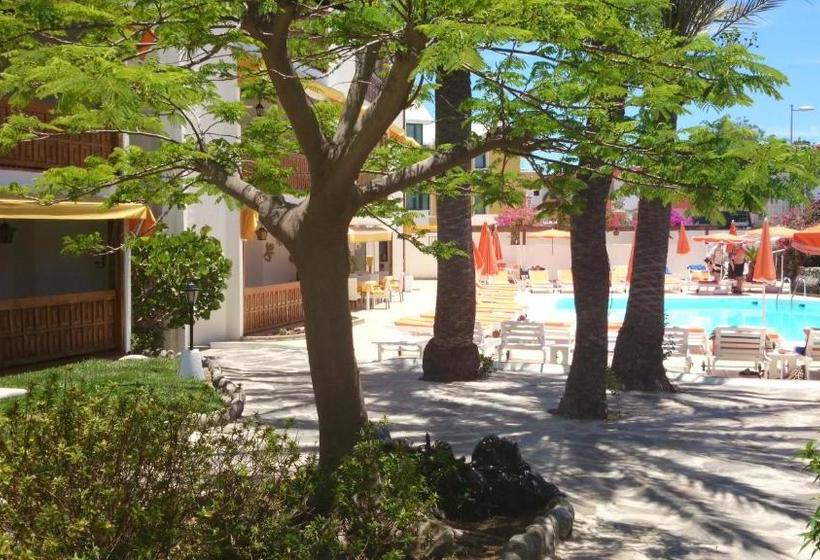 Fotos del hotel Club Canario:  4