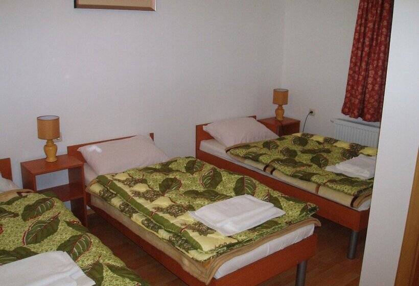 Fotos del hotel Pansion Rajic:  10