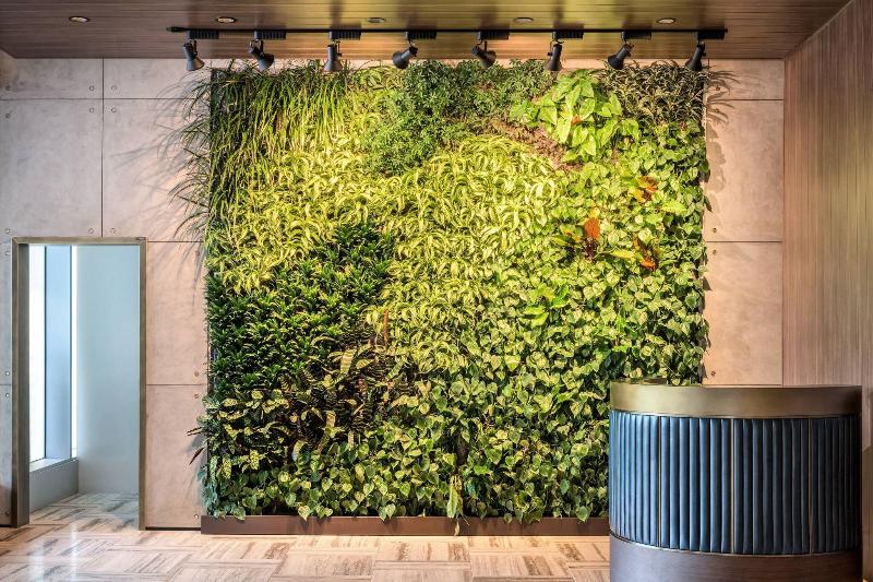 Fotos del hotel The Douglas, Autograph Collection:  8