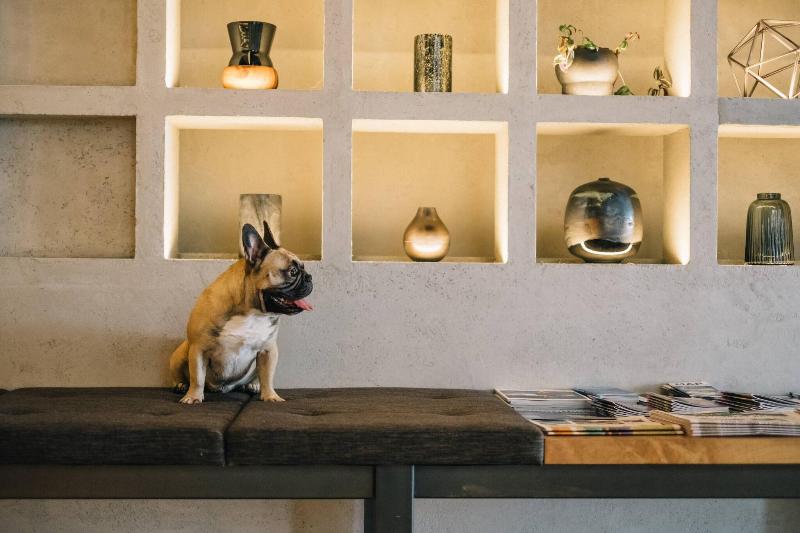 Fotos del hotel The Douglas, Autograph Collection:  14