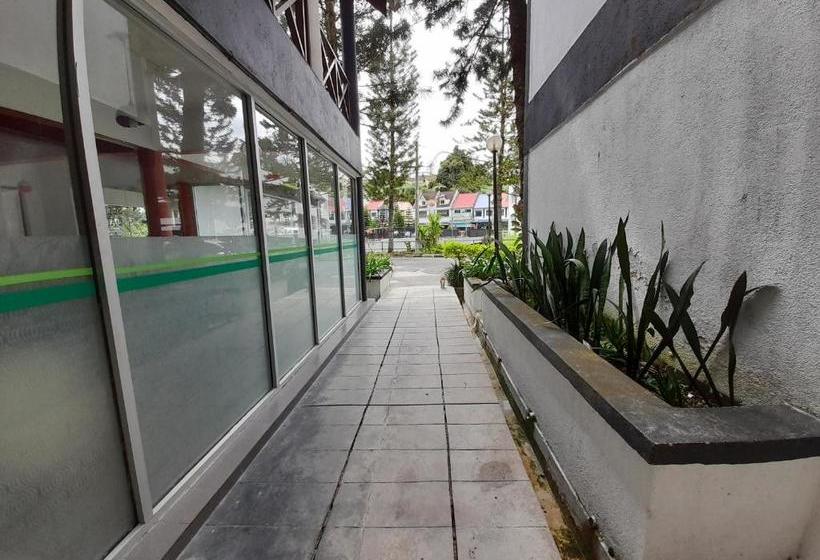 Fotos del hotel The Cool Point:  4