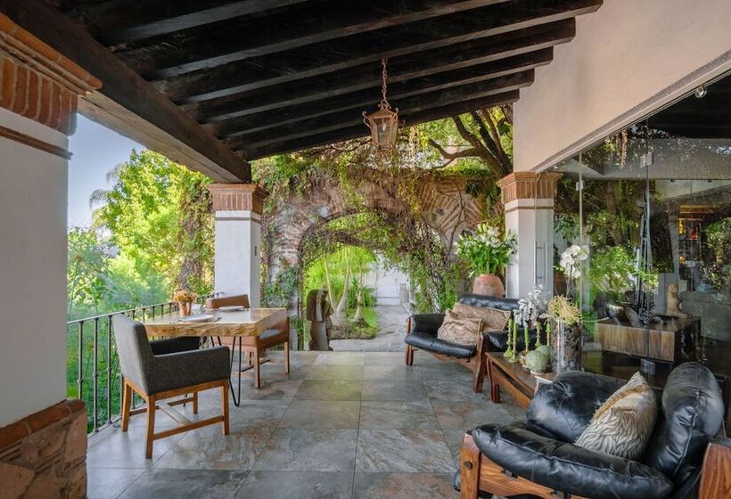 Fotos del hotel Maja Hotel Boutique:  5