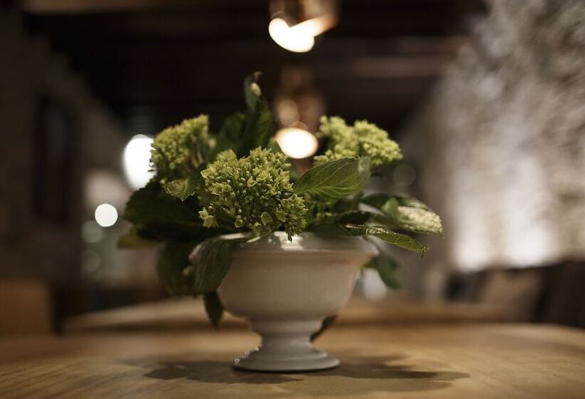 Fotos del hotel Maja Hotel Boutique:  12