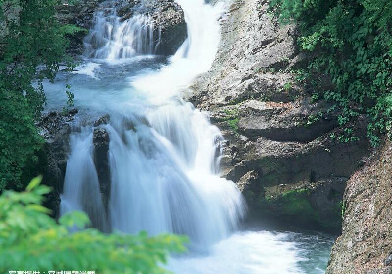 Fotos del hotel Green Palace:  3