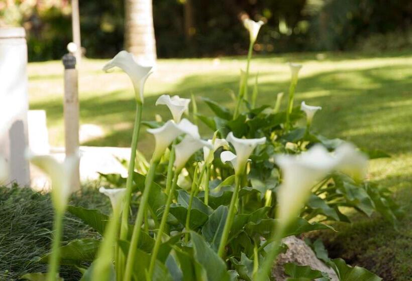 Fotos del hotel Ballantynes Lodge:  8