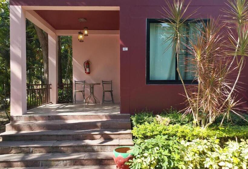 Fotos del hotel San Paisan Resort:  16