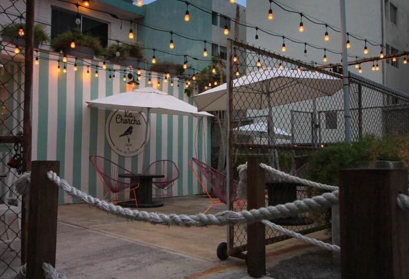 Fotos del hotel Mas Basico:  25