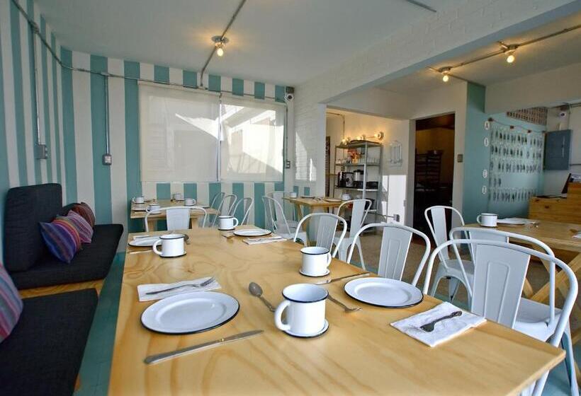 Fotos del hotel Mas Basico:  17