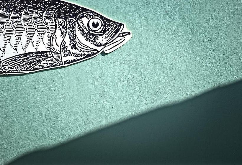 Fotos del hotel Mas Basico:  7