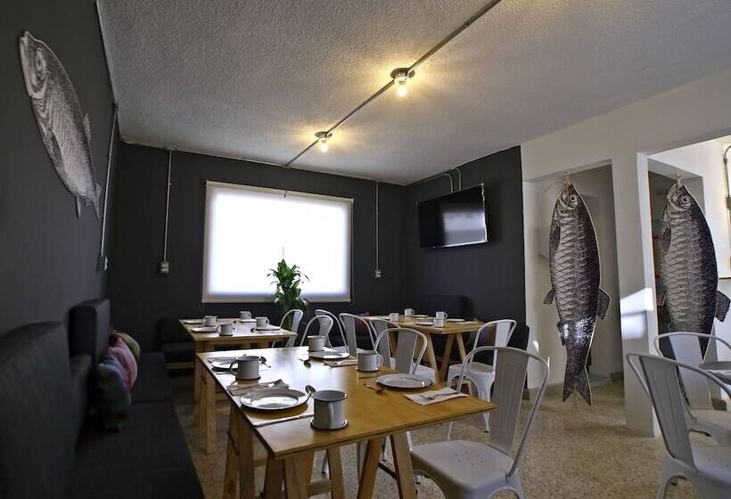 Fotos del hotel Mas Basico:  23