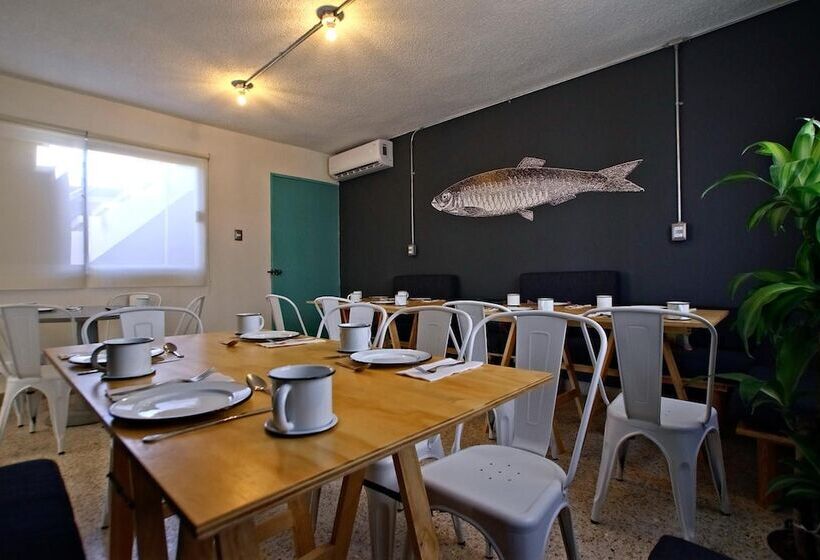 Fotos del hotel Mas Basico:  3