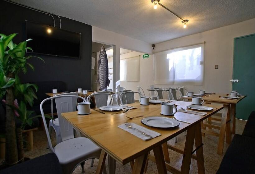 Fotos del hotel Mas Basico:  5