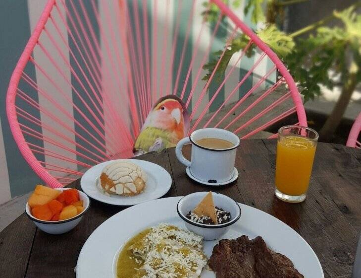 Fotos del hotel Mas Basico:  14