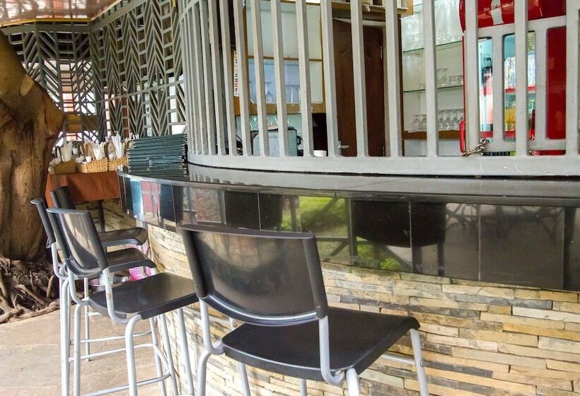 Fotos del hotel Pinecone:  13