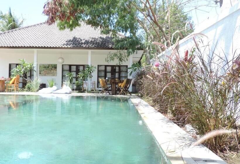 Fotos del hotel Casus Dream:  9