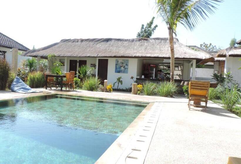 Fotos del hotel Casus Dream:  15