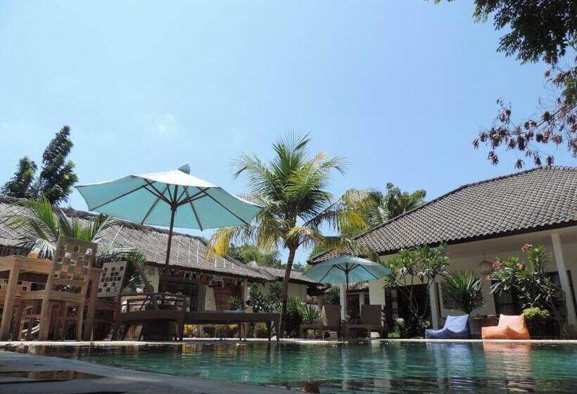 Fotos del hotel Casus Dream:  12