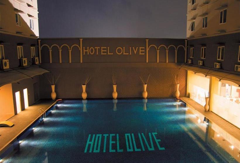 Fotos del hotel Olive:  8