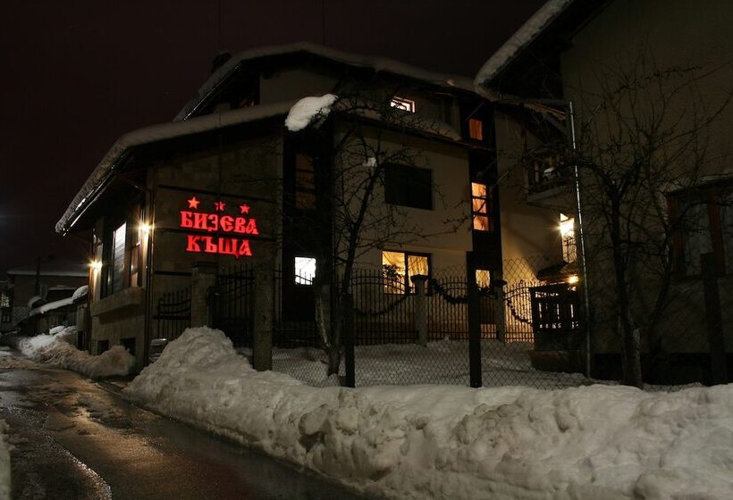 Fotos del hotel Bizev:  4