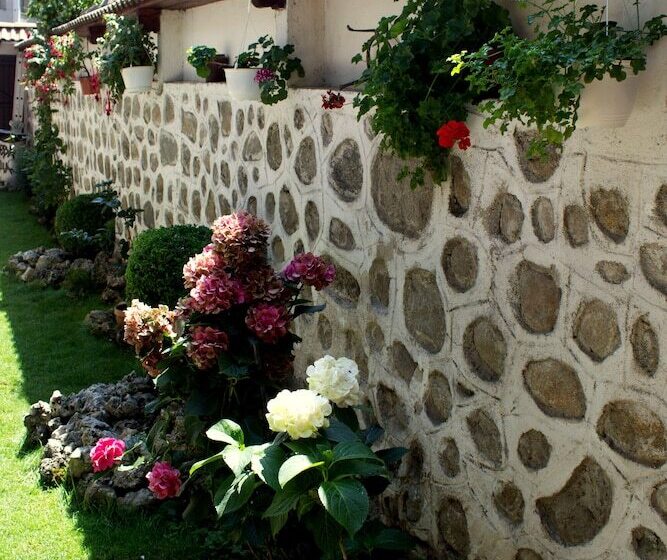 Fotos del hotel Bizev:  7