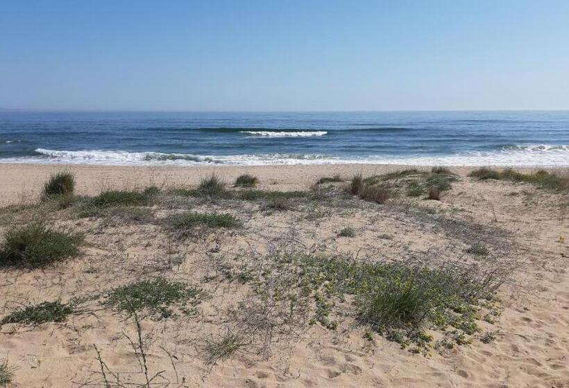 Fotos del hotel Lozite:  11