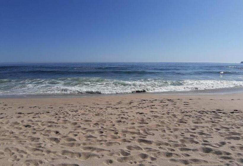 Fotos del hotel Lozite:  19