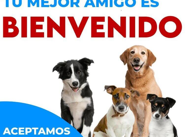 Fotos del hotel Uke Inn Terán:  19